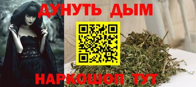 шишки Будённовск