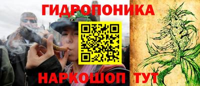 молекула духа Бузулук