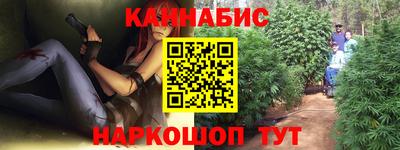 шишки Будённовск