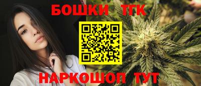 шишки Будённовск